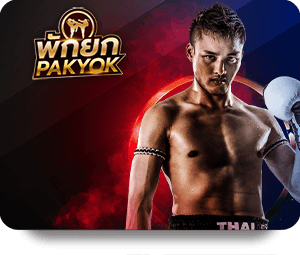 K8 Top Bet: Những điều cần biết khi tham gia cá cược